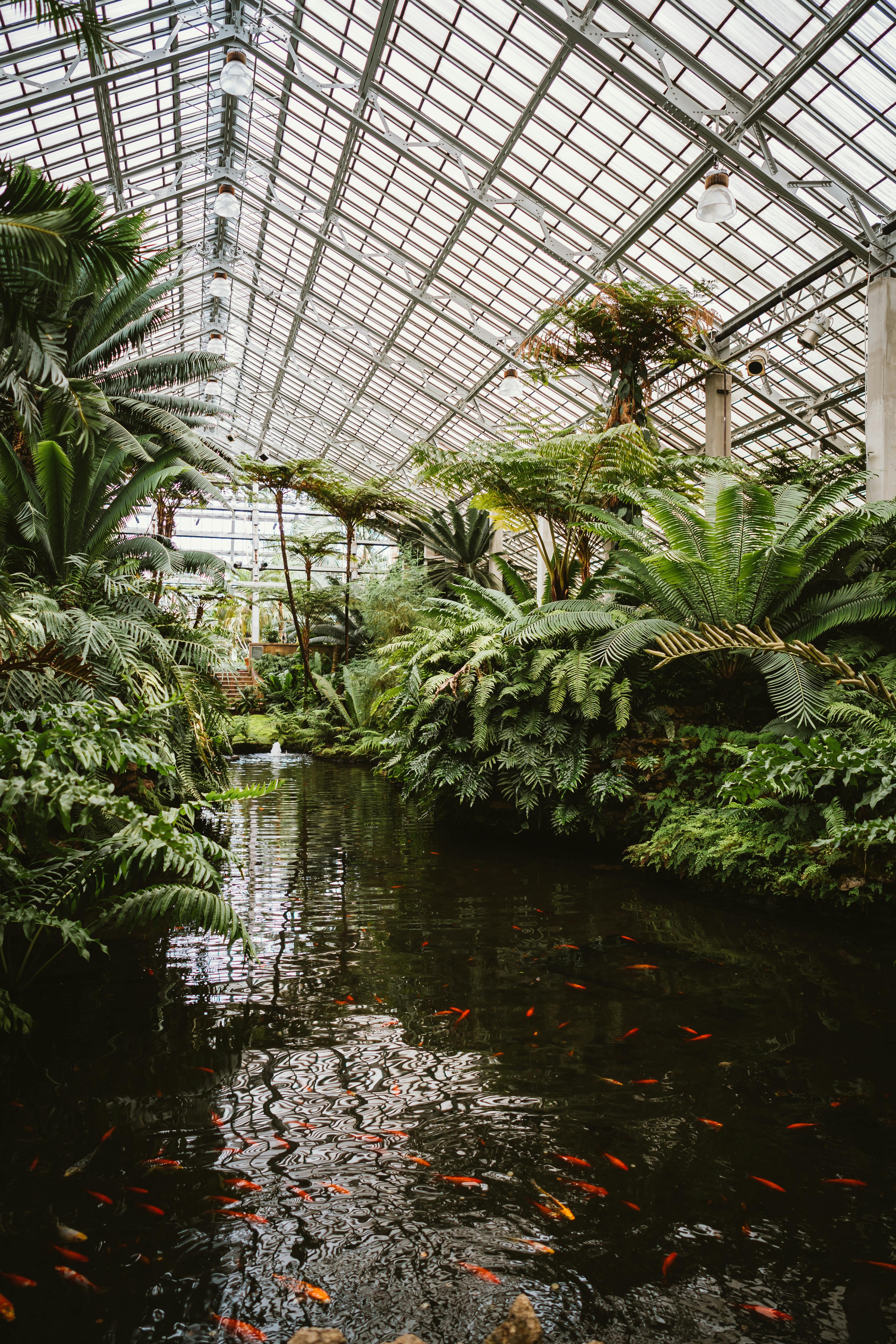 Smart Ways to Optimize a 250 Gallon Tank for Better Efficiency