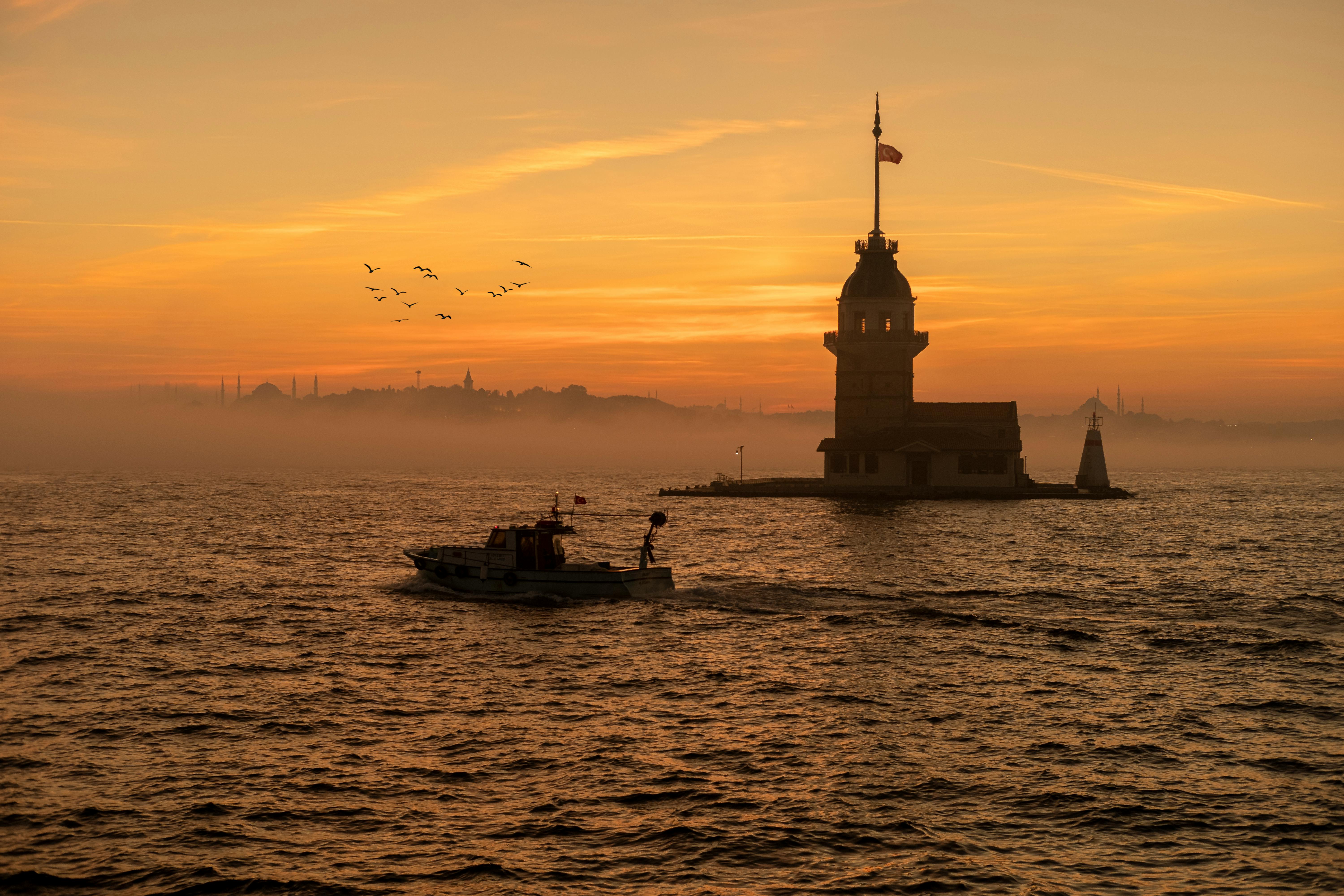 Smart Ways to Enjoy Great Alaska Seafood in 2025