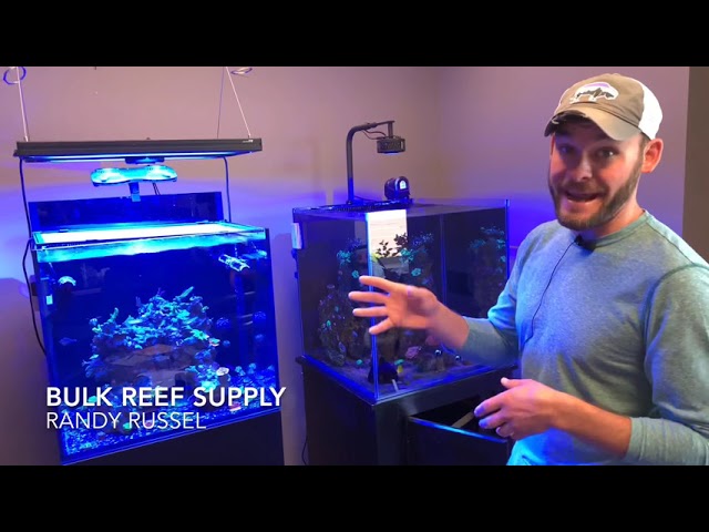 Bulk Reef Supply