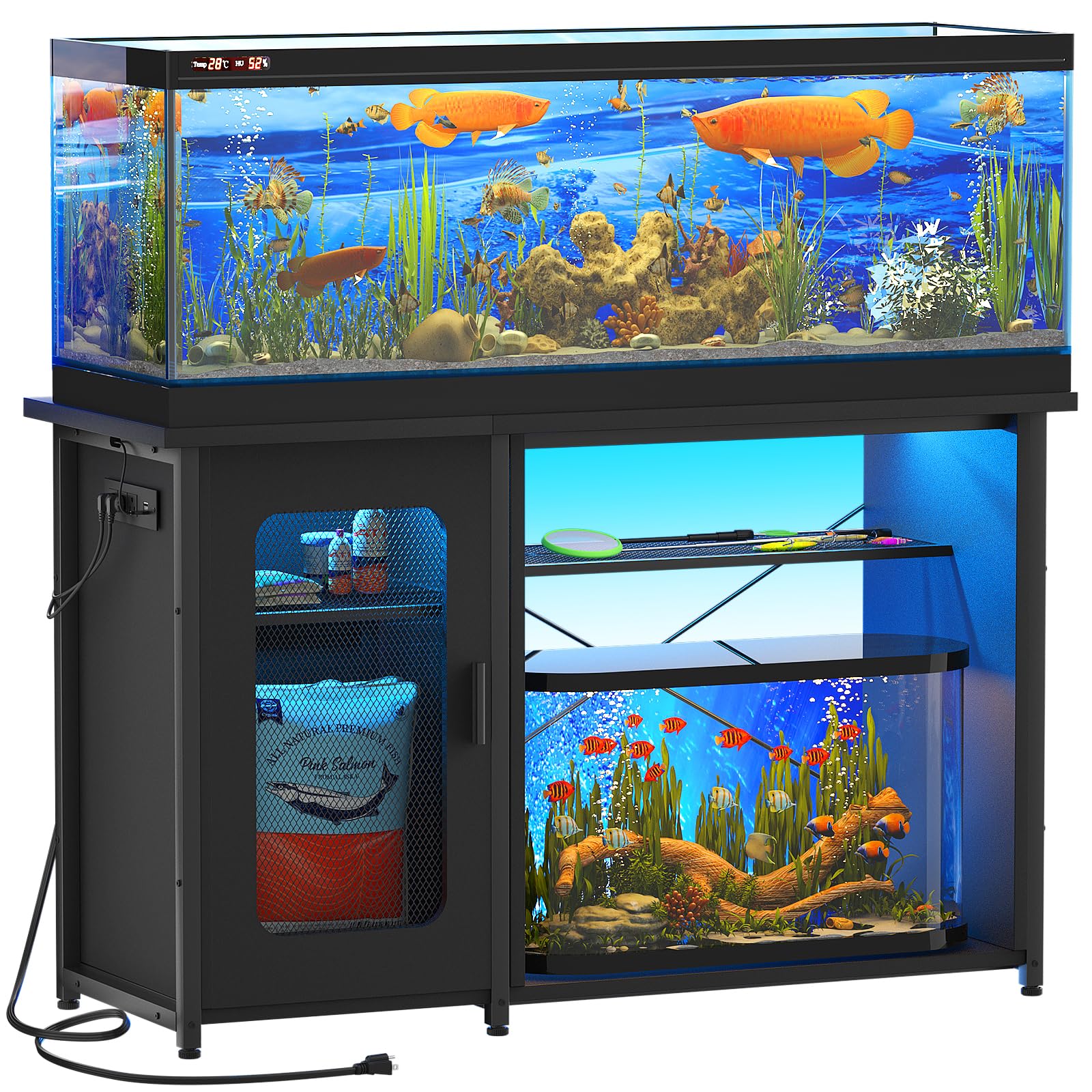 Aquarium Setup for Healthy Fish