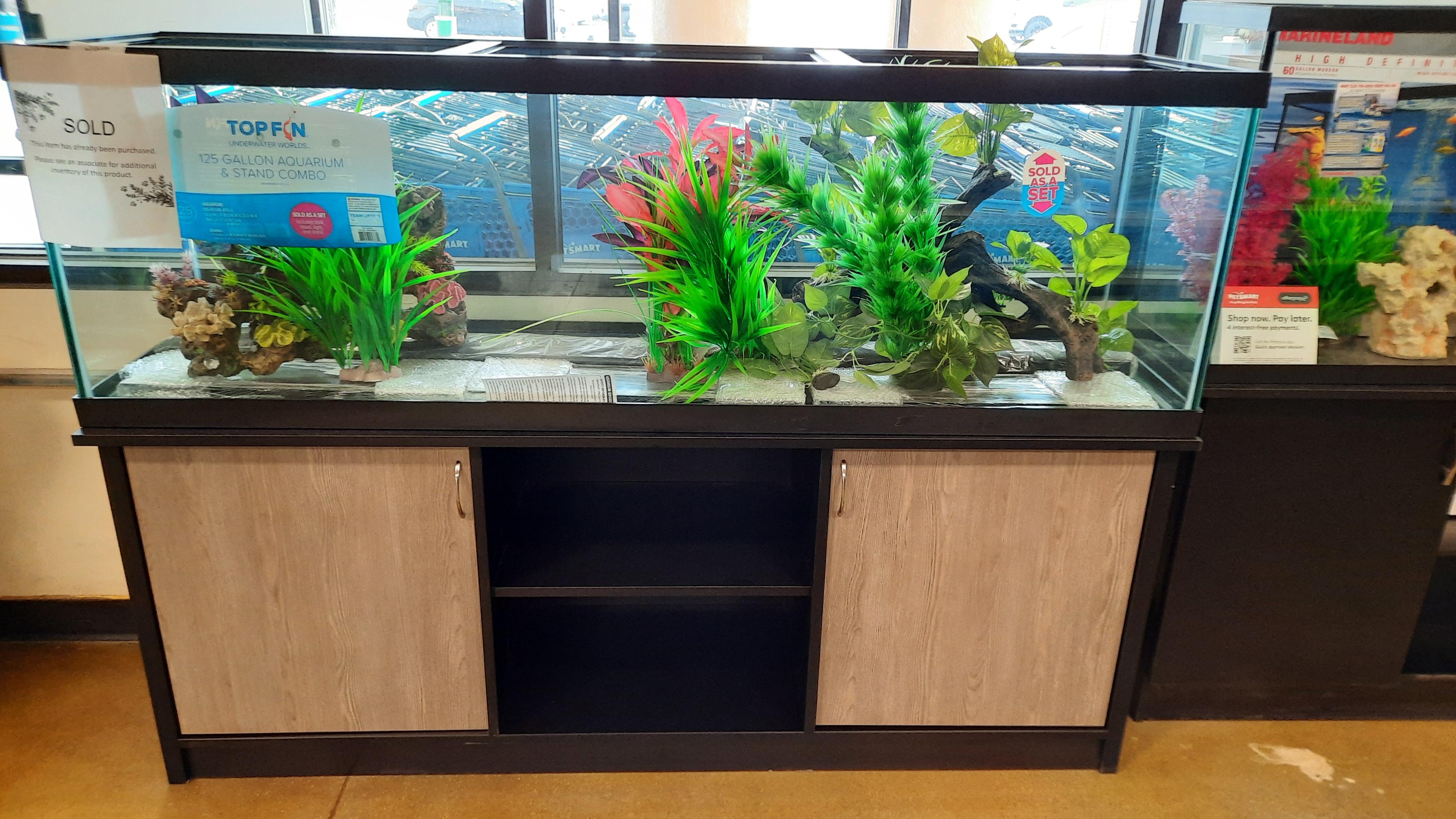 Beautiful 125 Gallon Fish Tank