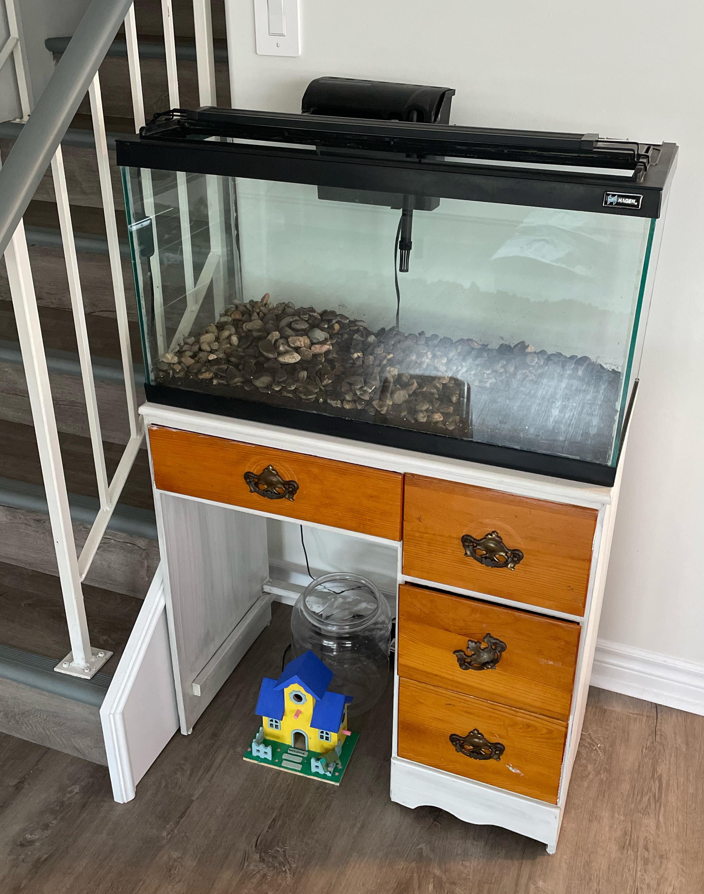 25 Gallon Aquarium Setup