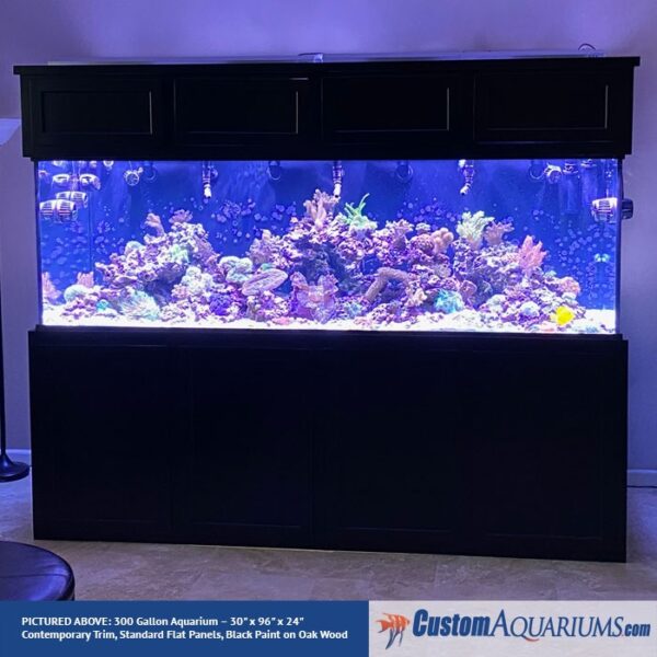 300 gallon fish tank