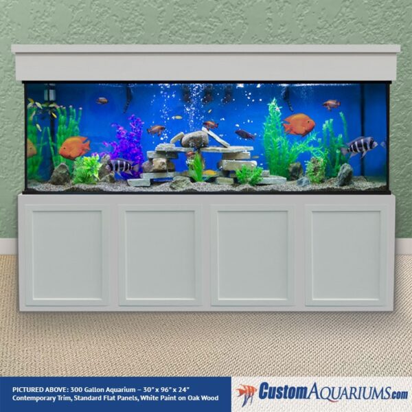 300 gallon fish tank with aquatic plants