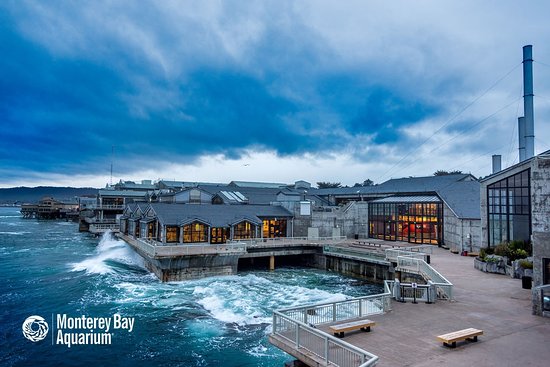 Monterey Bay Aquarium Reviews